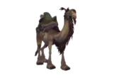 Brown Riding Camel