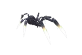 Tarachnid Creeper